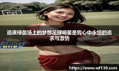 智博19